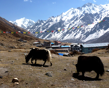 Best Treks of Nepali Mountains